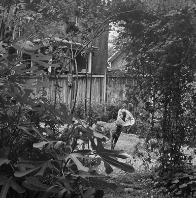 A grayscale photo of what appears to be a backyard garden. In the foreground are a range of leafy plants; in the background is a wooden fence in front of a multi-story brick building.