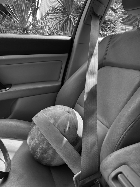 A grayscale photo of a watermelon sitting in a car seat, dutifully strapped in with a seat belt.